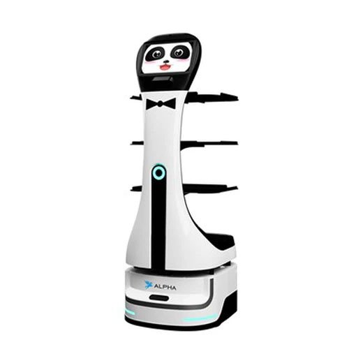 Restaurant Robot