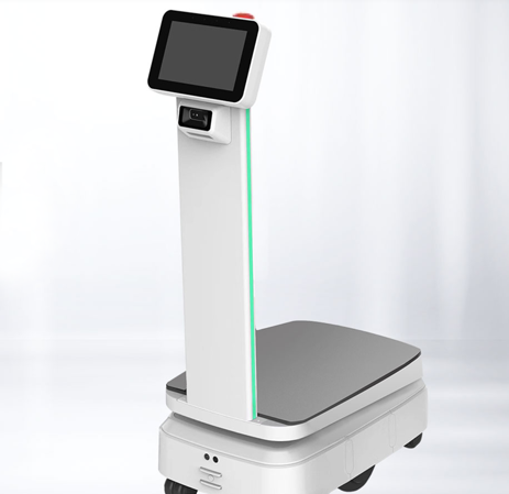 Amy Reception Robot in Resorts