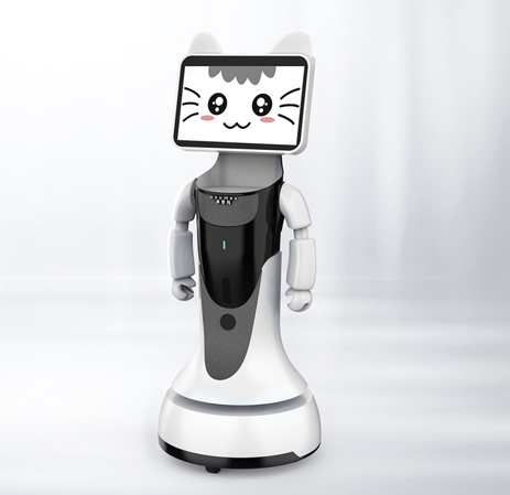 Takeout Delivery Robot