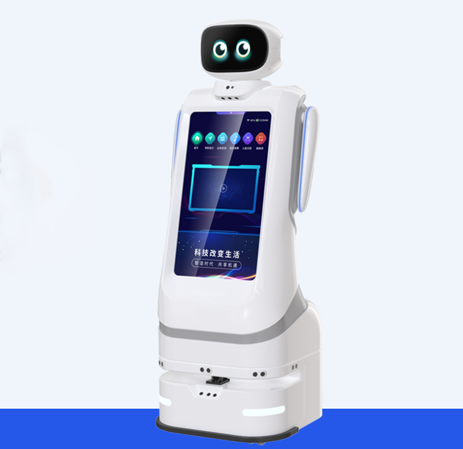 Takeout Delivery Robot