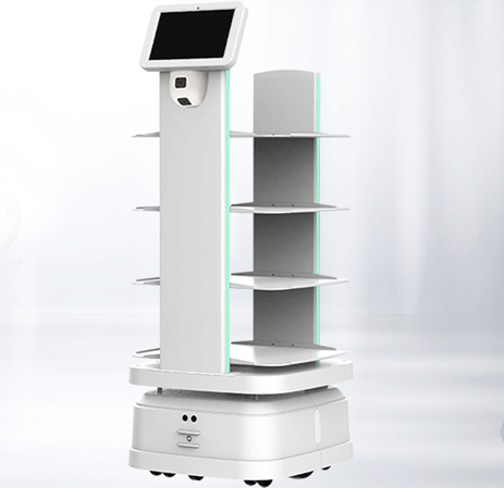 Amy Reception Robot in Resorts