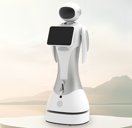 Takeout Delivery Robot