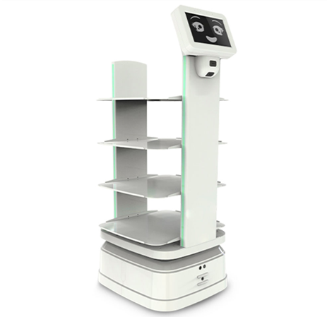 Amy Reception Robot in Resorts