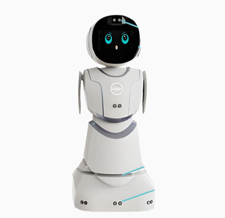 Amy Reception Robot in Resorts