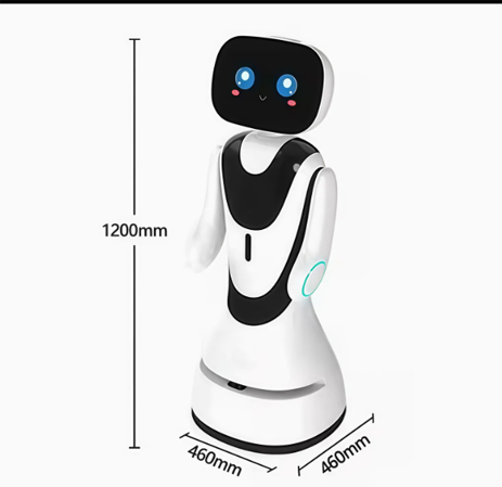 Programmable Open Sdk Intelligent Reception-Timo Service Robot