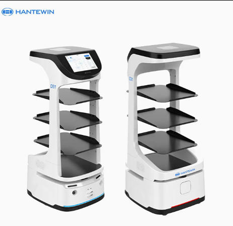 Amy Reception Robot in Resorts