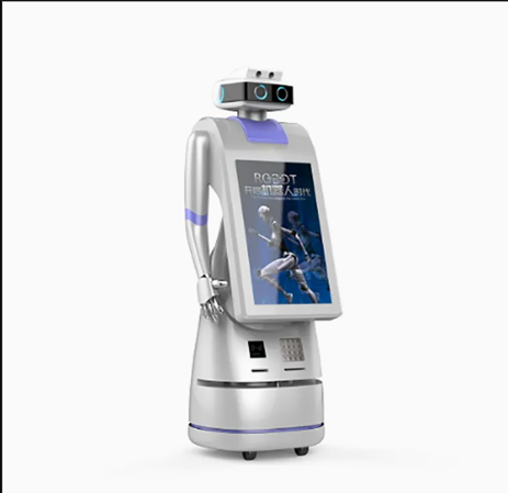 Amy Reception Robot in Resorts