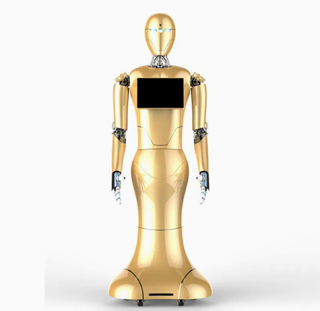 Humanoid Service Reception Multi-Function - Dajin Service Reception Robot
