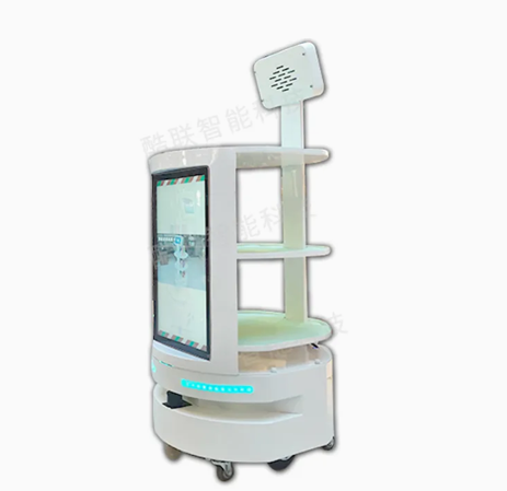 Amy Reception Robot in Resorts