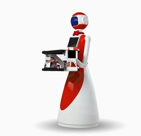 Restaurant and Hotel Food Delivery Humanoid Service-Lele Delivery Robot