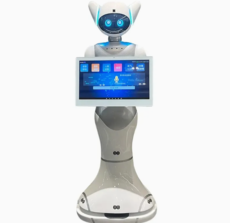 Takeout Delivery Robot