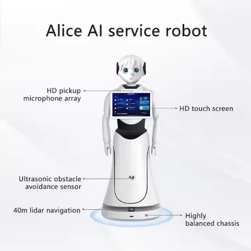Ai Reception and Welcome - More Flexible Interaction - Alice Service Robot