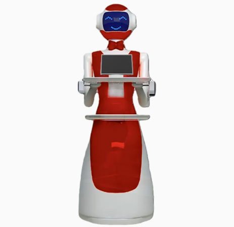 Restaurant and Hotel Food Delivery Humanoid Service-Lele Delivery Robot