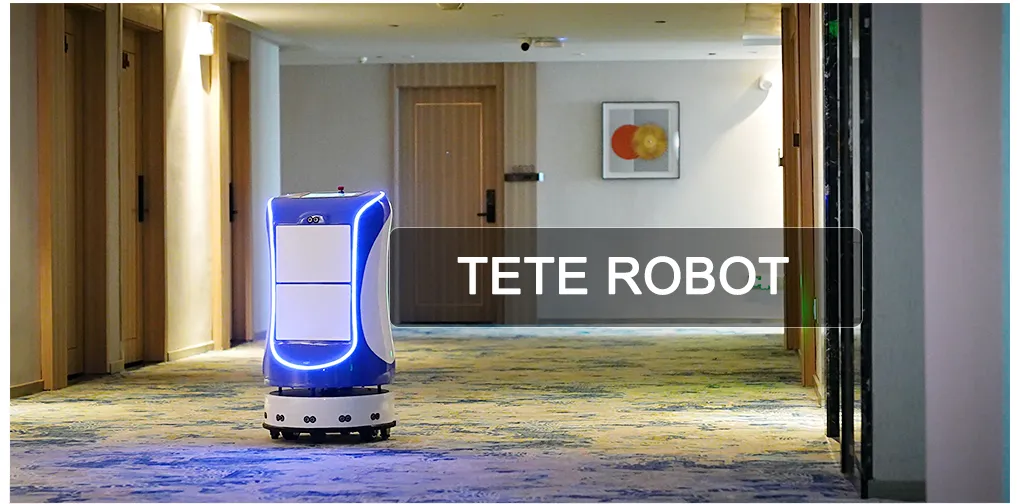Factory High Quality Long Battery Life 4 - Star Hotel Delivery Robot