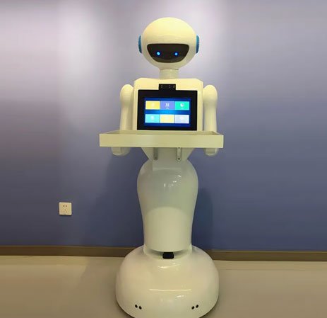 Amy Reception Robot in Resorts