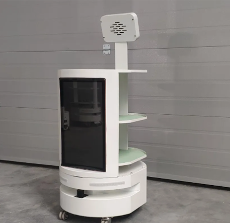 Amy Reception Robot in Resorts