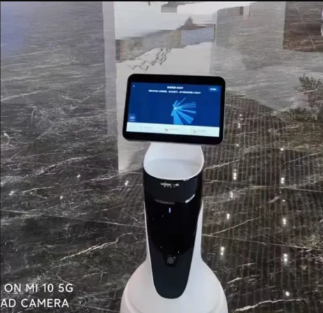 Efficient Muka-Bxm2 Reception Welcome Robot with IP65 Protection Level