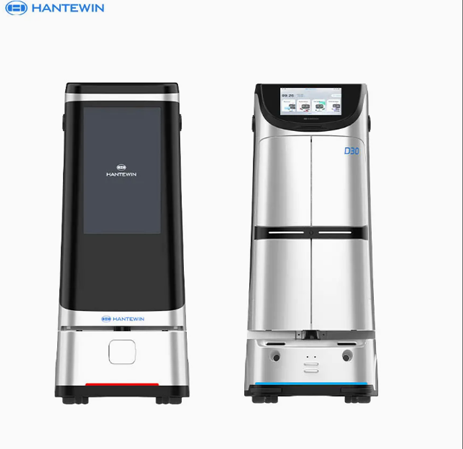 Amy Reception Robot in Resorts