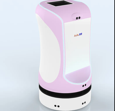 Amy Reception Robot in Resorts