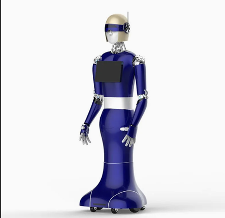 Takeout Delivery Robot