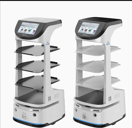 Takeout Delivery Robot