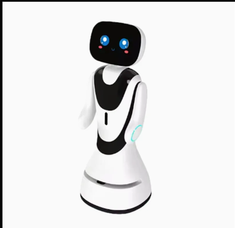 Programmable Open Sdk Intelligent Reception-Timo Service Robot