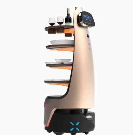 Takeout Delivery Robot