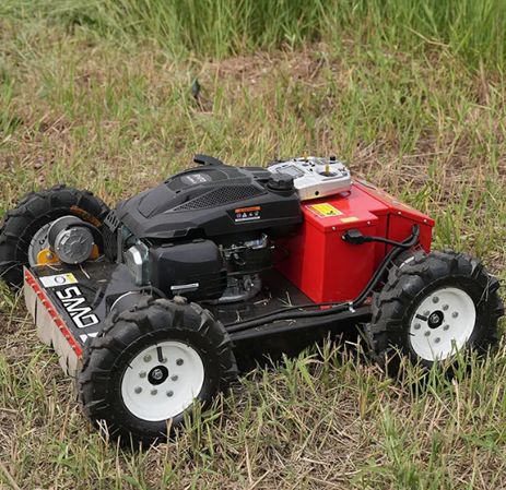 Amy Reception Robot in Resorts