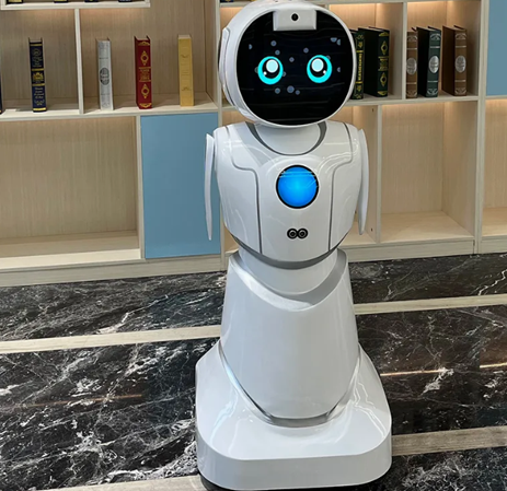 Amy Reception Robot in Resorts