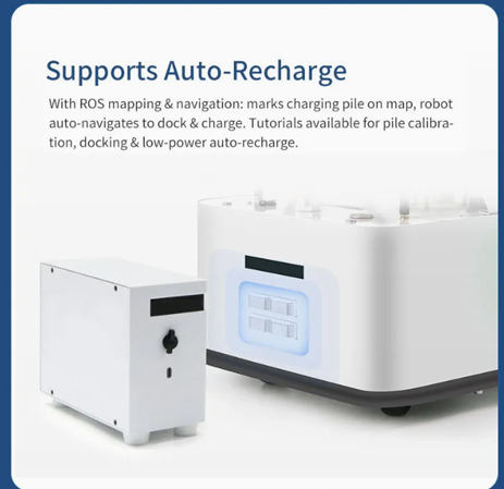 Amy Reception Robot in Resorts