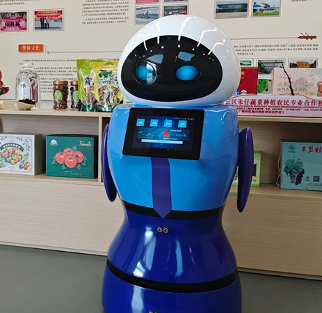 Ai-Enhanced Hotel Welcome Humanoid Robot Hotel Supplies Delivered Kaka Robot