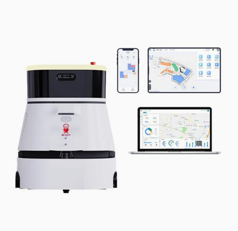 Amy Reception Robot in Resorts