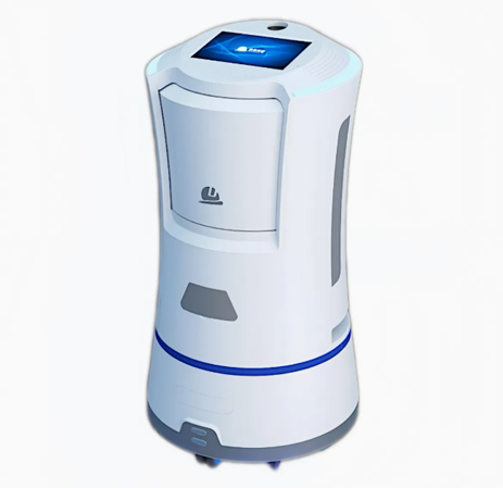 Amy Reception Robot in Resorts