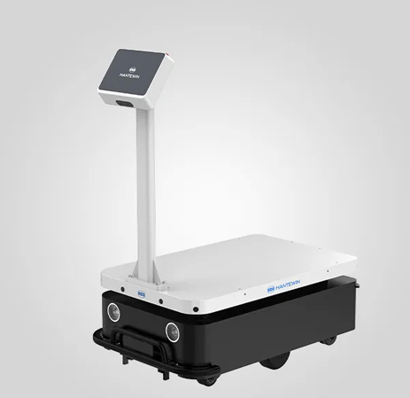 Amy Reception Robot in Resorts