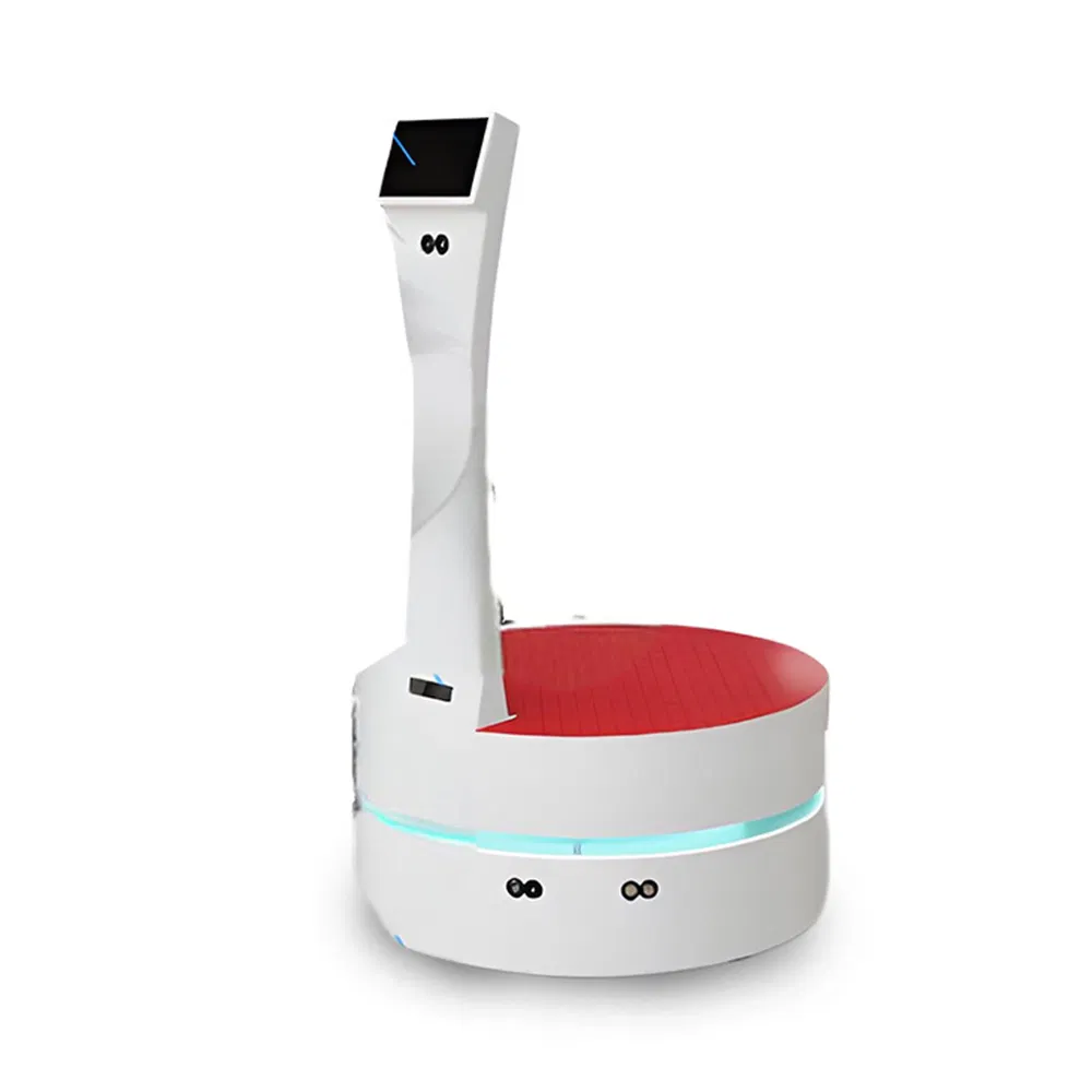 Smart Delivery Robots for Hotels and Airport Luggage Transportation